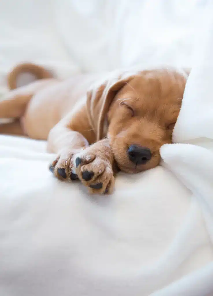 equipements en supplement draps camping